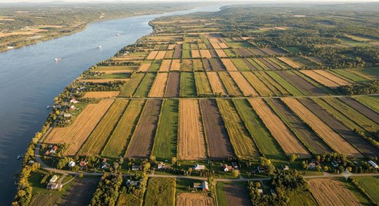 Farmland Along a River